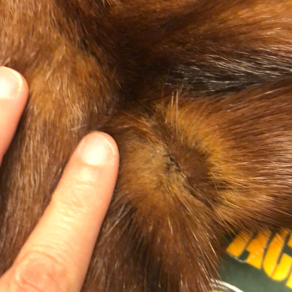 Vintage fur coat - Picture 5 of 8